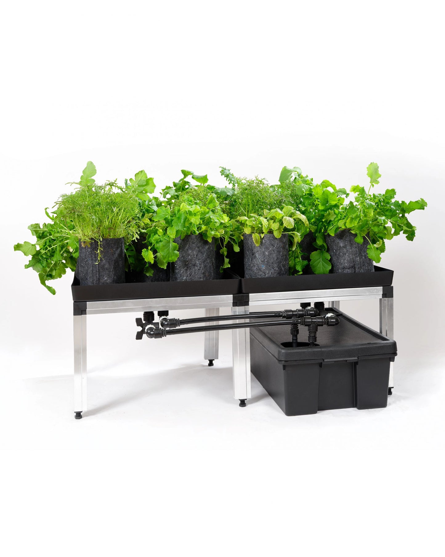 GTOOLS Bonanza Clima (1m2) +2 x Hortione 420, 150 Watt + Dimmer