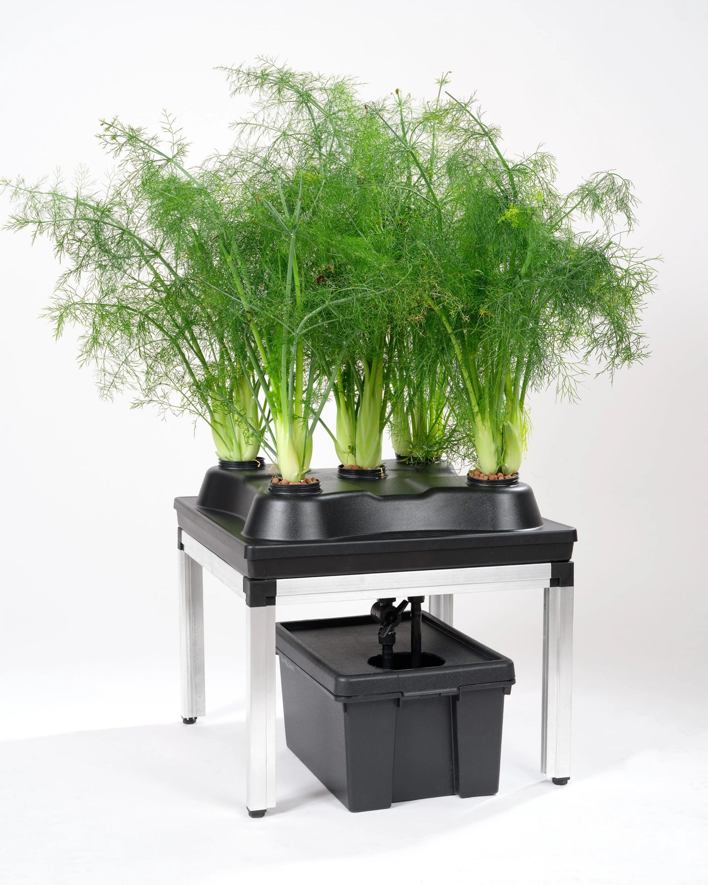 GTOOLS Bonanza Clima (0.35m2) + G-Bars 170 Watt + 3-in-1 irrigation system