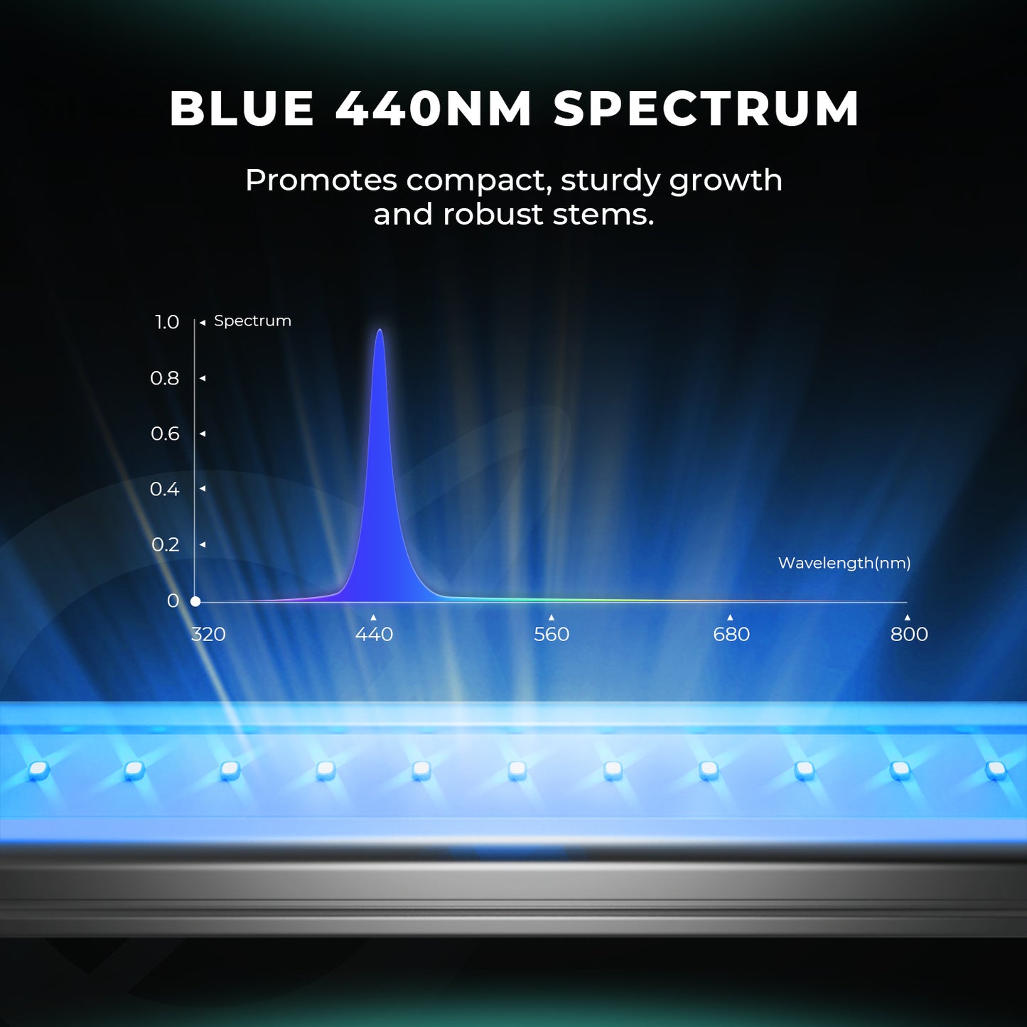 Mars Hydro ADlite Deep Red 30 + Blue 30 Ergänzende LED-Wachstumslichtleisten-Kombination