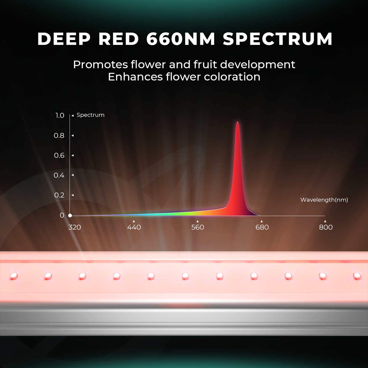 Mars Hydro ADlite Deep Red 30 + Blue 30 Ergänzende LED-Wachstumslichtleisten-Kombination