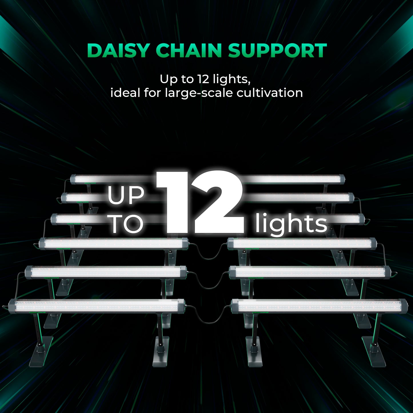 Extra LED licht onder planten – Supplemental LED lighting under plants – Zusatz LED Licht unter Pflanzen