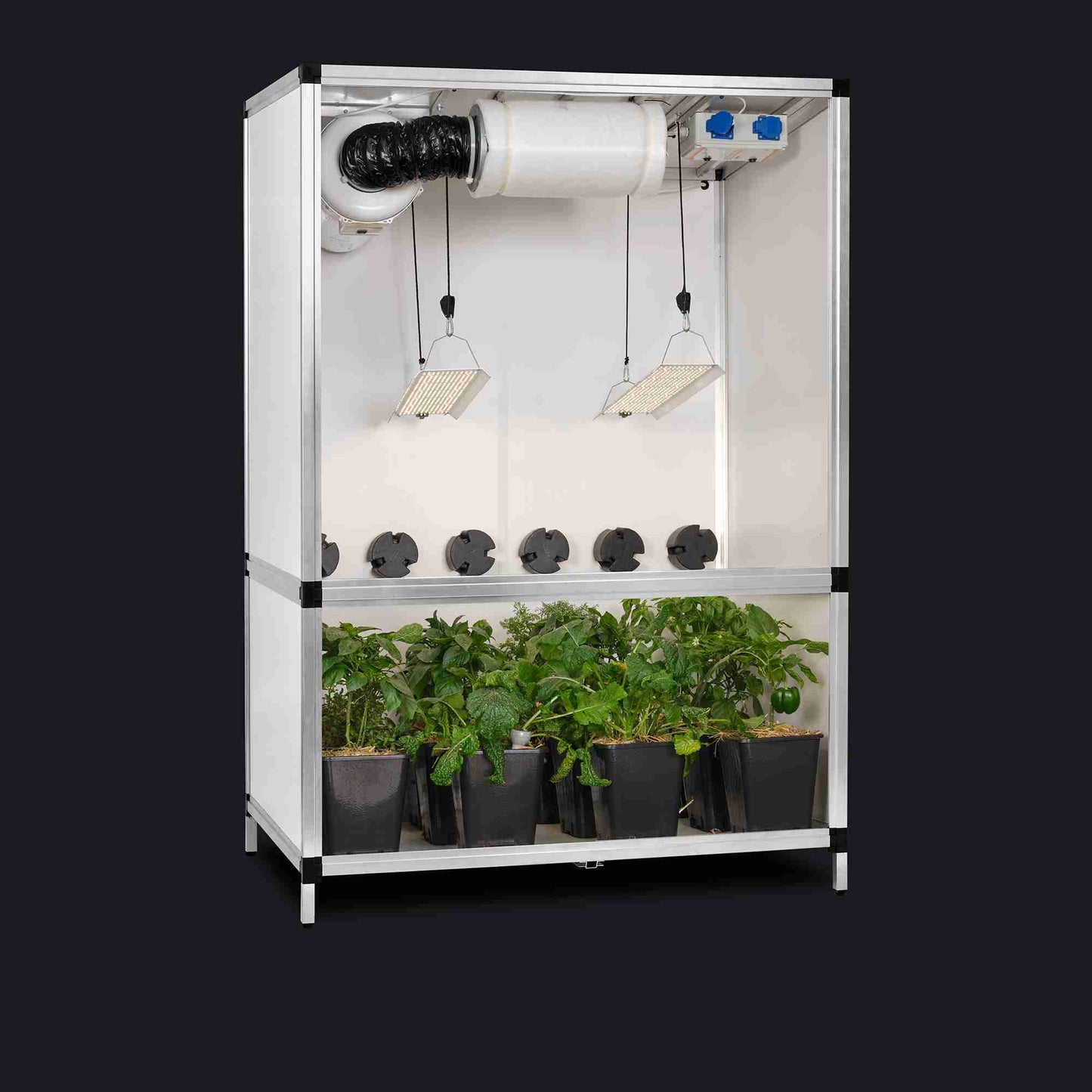 GTOOLS Bonanza Clima (1m2) +2 x Hortione 420, 150 Watt + Dimmer