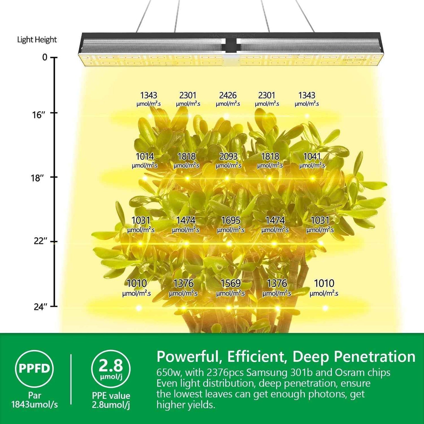Mars Hydro SP6500 650W LED Kweeklamp – 3.3 µmol/J Dimbare Full Spectrum voor Grote Kweektenten & High-Wire Teelt