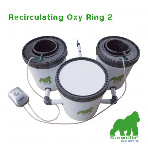 growrilla rdwc oxy ring 2 potten hydroponic dwc kweeksysteem