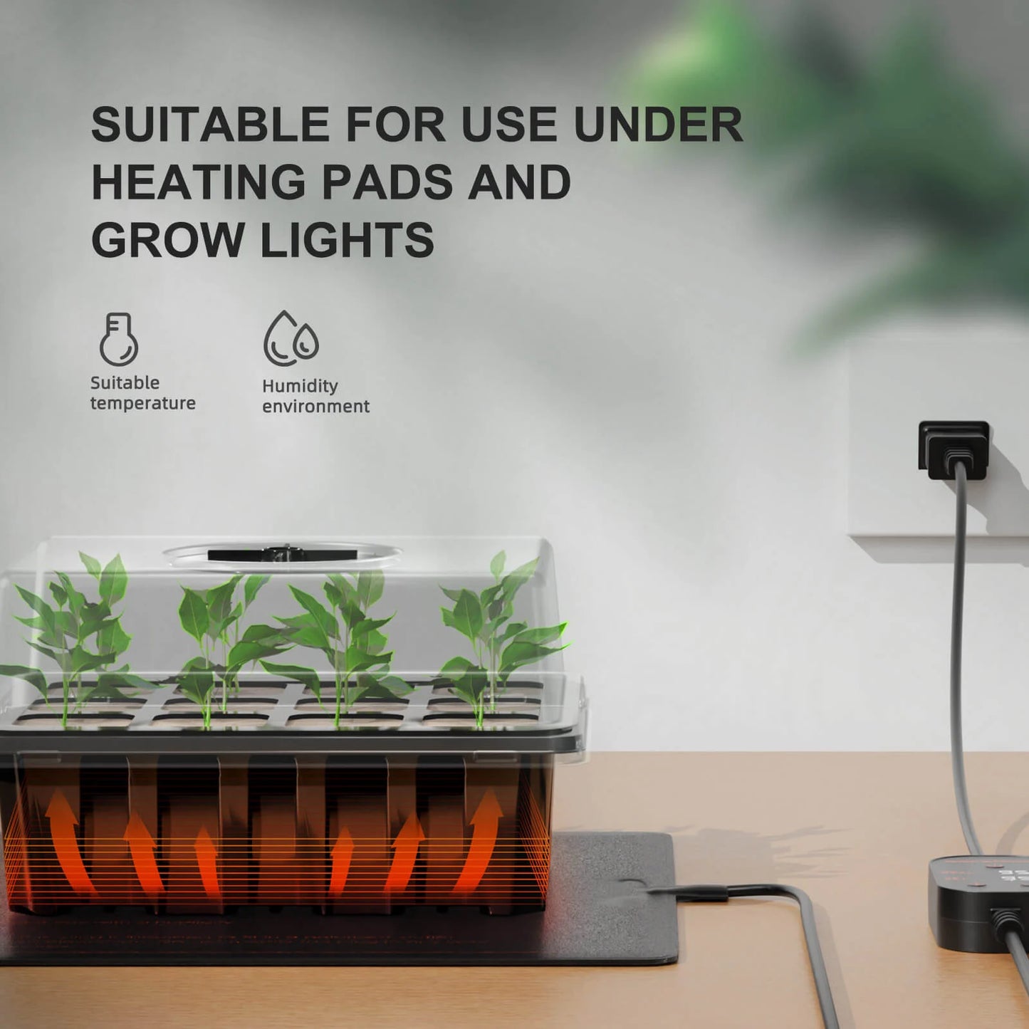 Zaailingen trays voor kieming en plantengroei