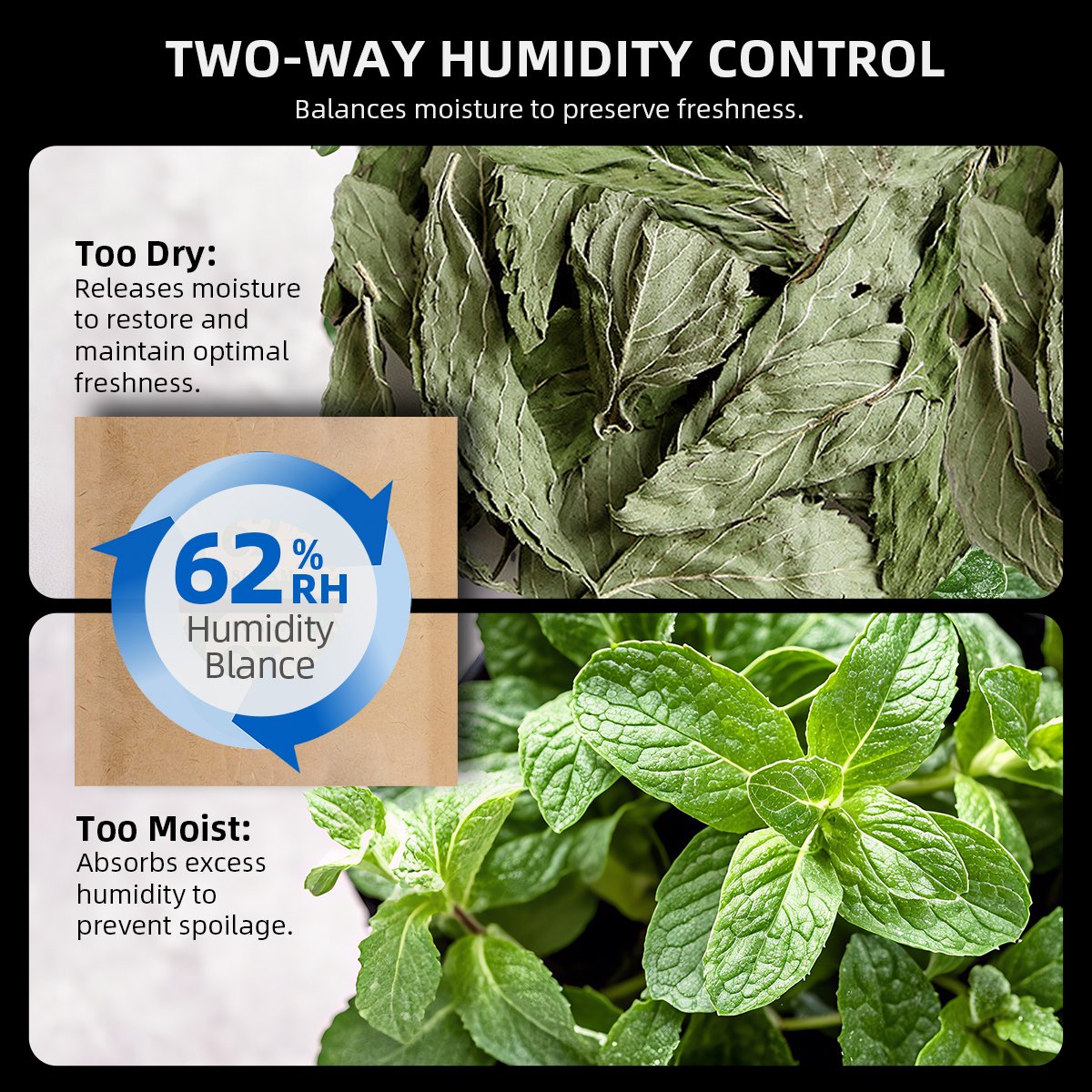 spider farmer filtration system – grow extraction gear – Filtrationssystem Pflanzen