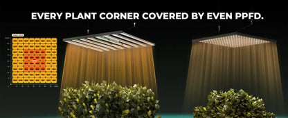 Mars Hydro Smart FC1000W EVO – 1000W Vollspektrum LED Pflanzenlampe