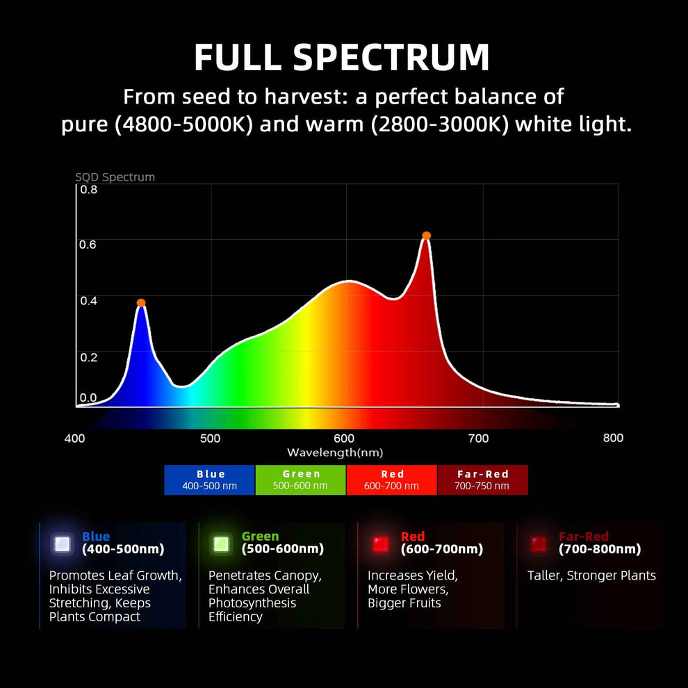 Spider Farmer G1000W 1000W LED Kweektent Set 150×150 cm Spider Farmer G1000W 1000W LED Kweektent Set 150×150 cm
