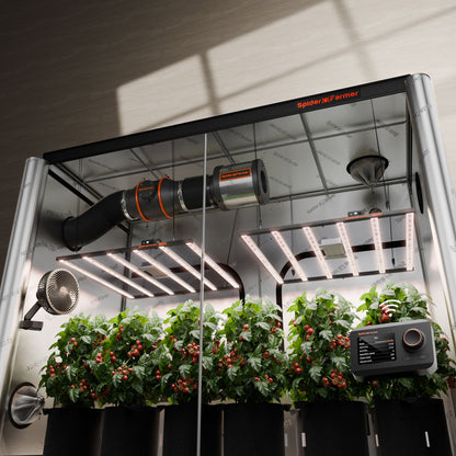 Spider Farmer 300×150×200 complete kweekset met 2× G8600 EVO LED | Indoor grow kit dual LED | Komplettes Growzelt Set mit zwei G8600 EVO LEDs