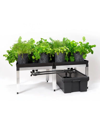 GTOOLS Bonanza Clima (1m2) +2 x Hortione 420, 150 Watt + Dimmer
