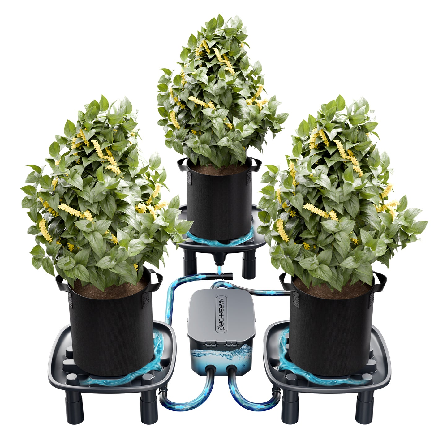 Mars Hydro automatisch drainagesysteem met 3 afvoerbakken | Mars Hydro automatic drainage system with 3 drainage trays | Mars Hydro automatisches Drainagesystem mit 3 Ablaufschalen