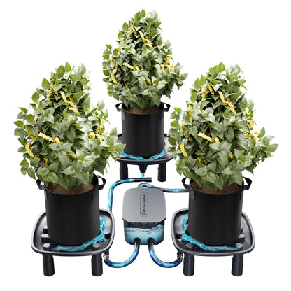Mars Hydro automatisch drainagesysteem met 3 afvoerbakken | Mars Hydro automatic drainage system with 3 drainage trays | Mars Hydro automatisches Drainagesystem mit 3 Ablaufschalen