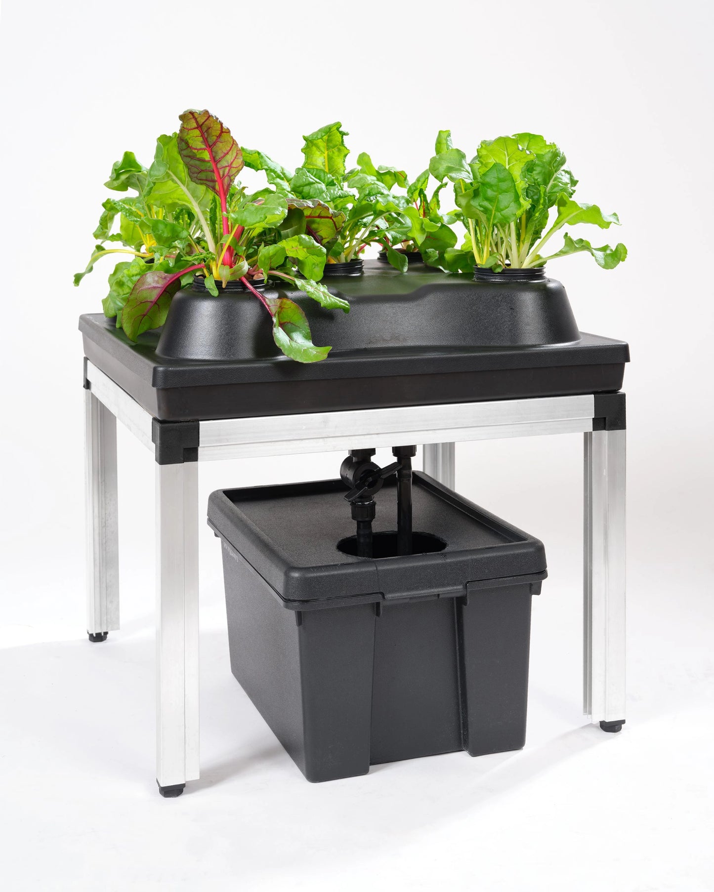 GTools Bonanza Clima (0.35m2) + 3-in-1 irrigation system