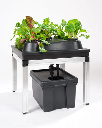 GTools Bonanza Clima (0.35m2) + 3-in-1 irrigation system