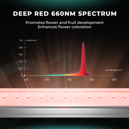 Mars Hydro ADlite Deep Red 30 + Blue 30 Ergänzende LED-Wachstumslichtleisten-Kombination
