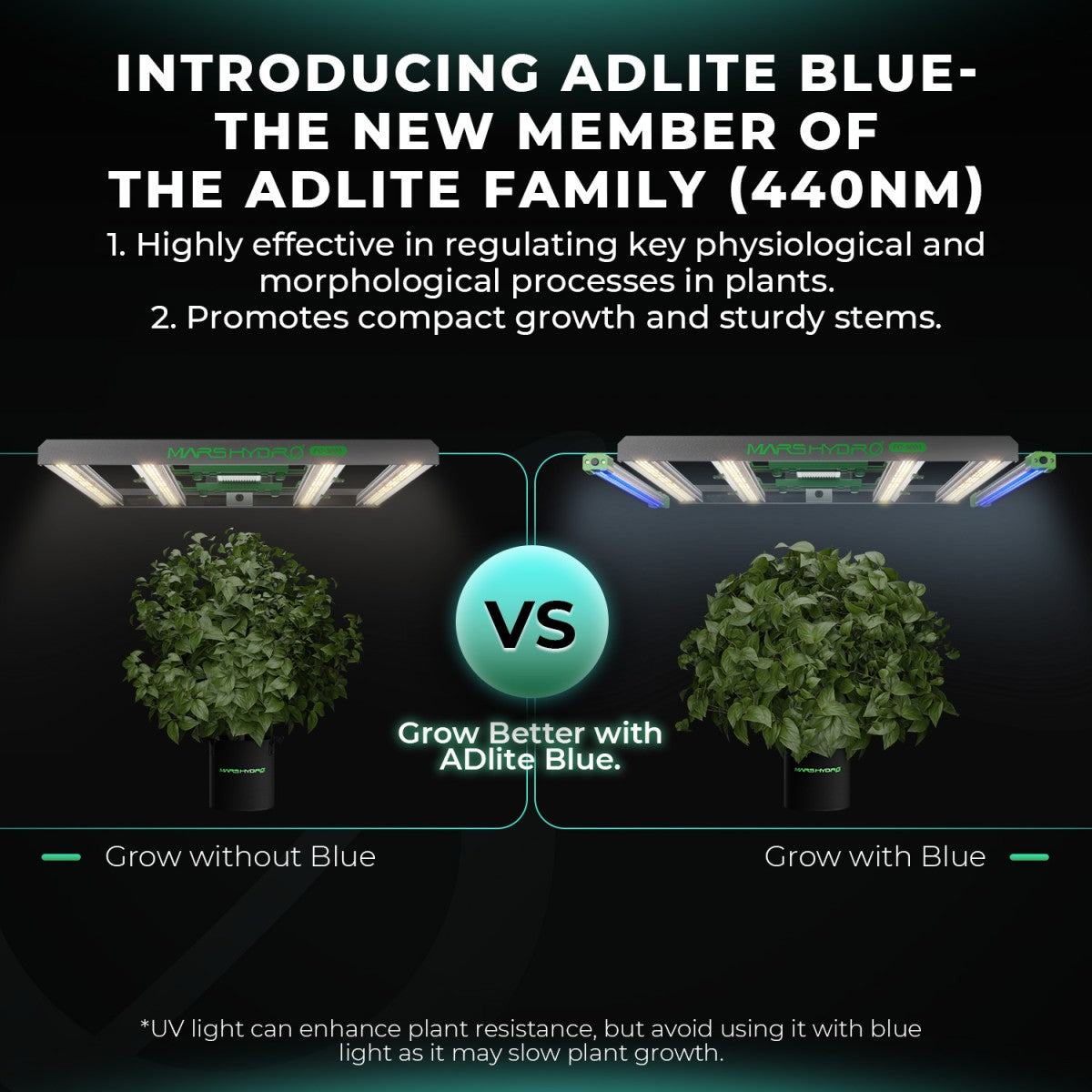 Blauw licht voor vegetatieve fase | blue spectrum for veg stage | blaues Spektrum für Wachstumsphase