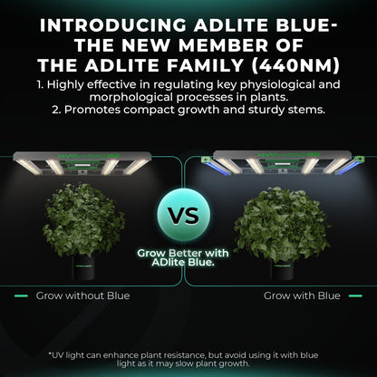 Blauw licht voor vegetatieve fase | blue spectrum for veg stage | blaues Spektrum für Wachstumsphase
