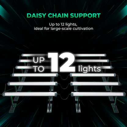 Extra LED licht onder planten – Supplemental LED lighting under plants – Zusatz LED Licht unter Pflanzen