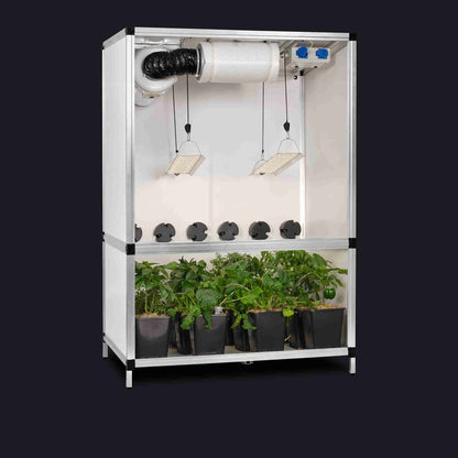 GTOOLS Bonanza Clima (1m2) +2 x Hortione 420, 150 Watt + Dimmer