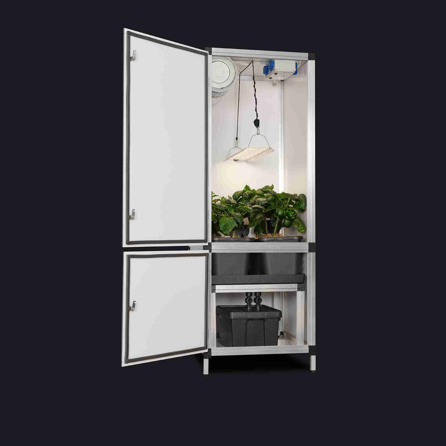 GTOOLS Bonanza Clima (0,35m2) + Hortione 420, 150 Watt + Dimmer + 3 in 1 Bewässerungssystem