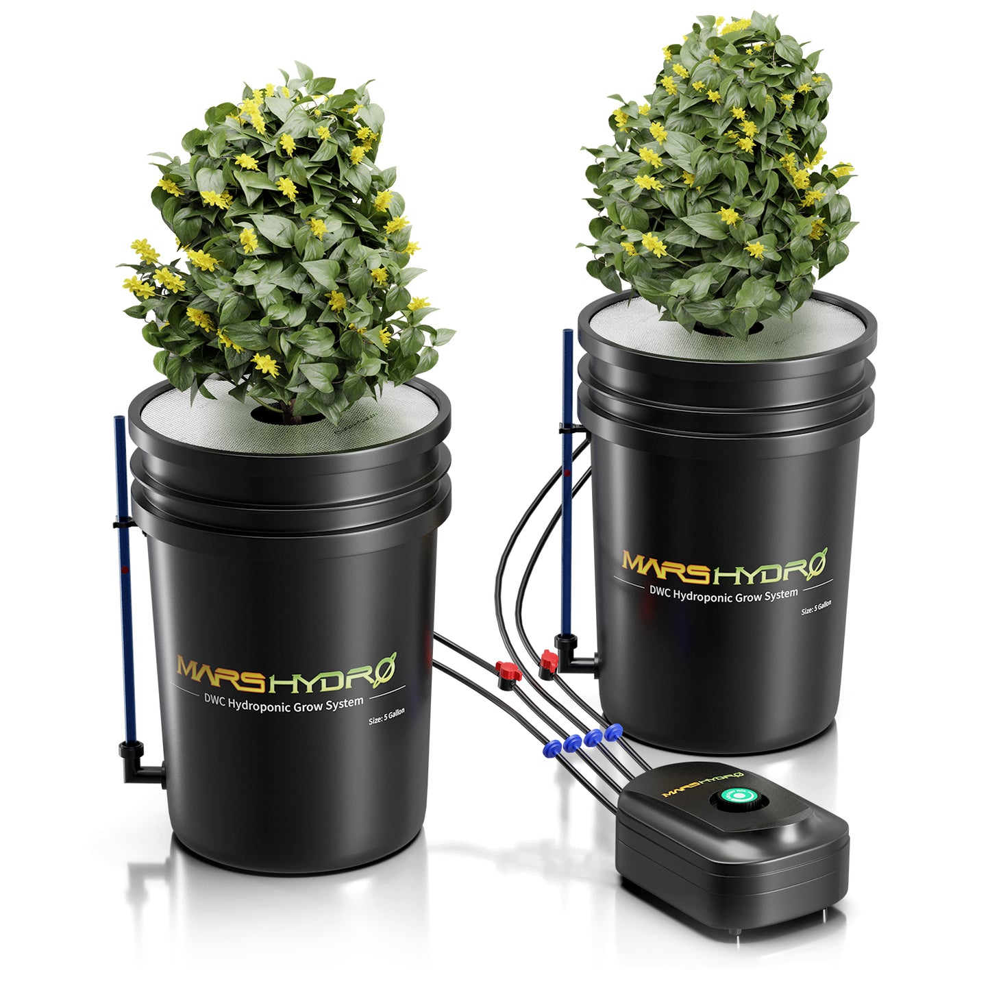 Mars Hydro DWC System 2 Eimer