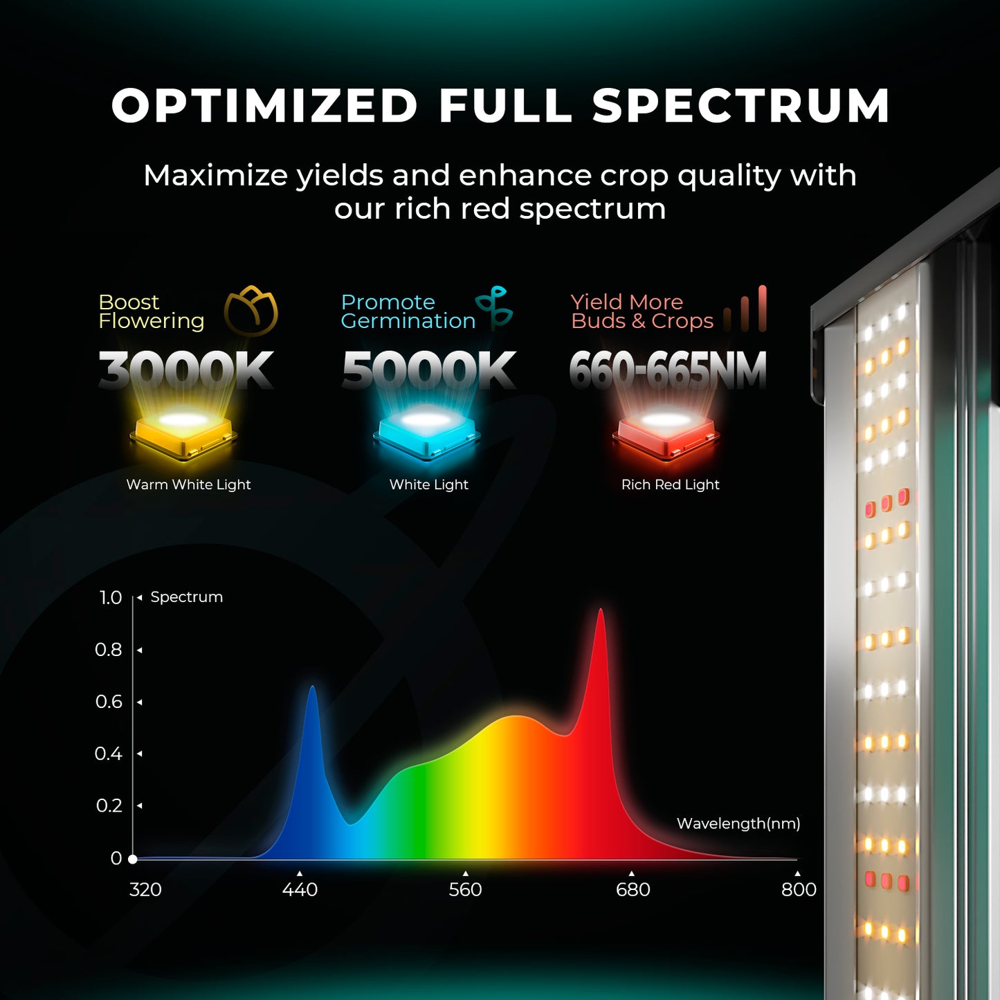 Mars Hydro Growers Kit FC 4000 EVO Full Grow 80x80x160cm mit Geschwindigkeitsregler