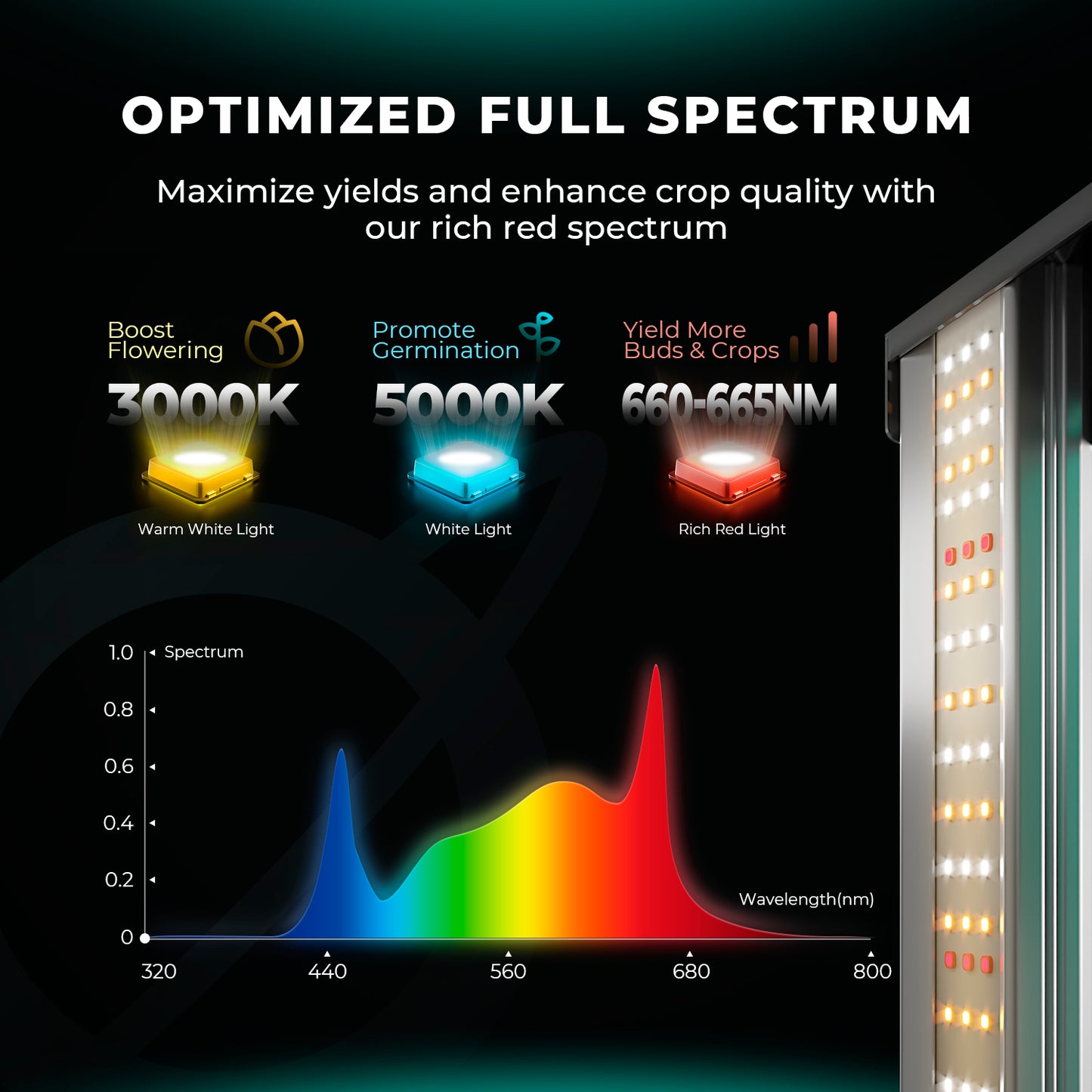 Mars Hydro FC4800 EVO Complete Grow Tent Kit – 480W Samsung LED + 120 × 120 cm Tent + 6″ Ventilation System