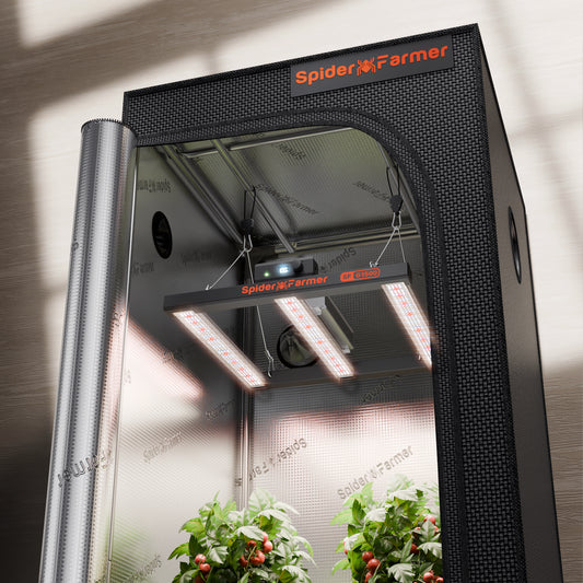 Spider Farmer G1500 Complete Grow Tent Kit – 70×70×160 cm Tent + Full Spectrum LED Kweeklamp&nbsp;
