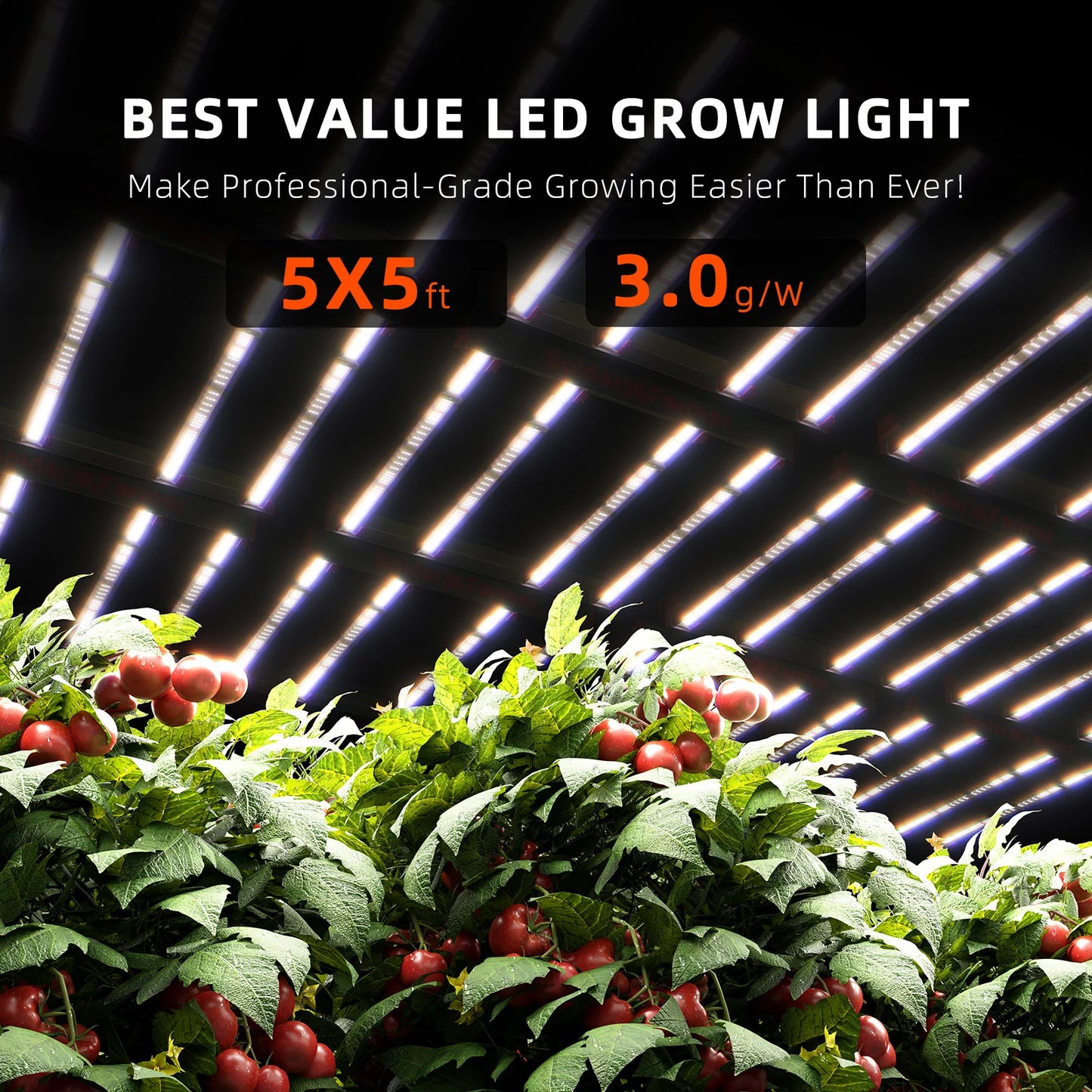 Spider Farmer G1000W 2.9 µmol/J LED Grow Light