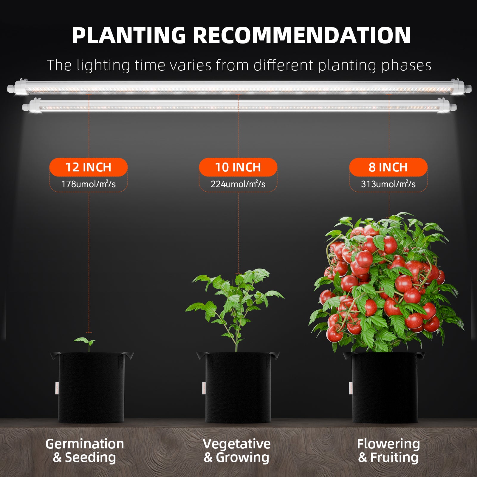 Spider Farmer Glow80 80W koppelbare LED light bars voor schaalbare binnenkweek verlichting