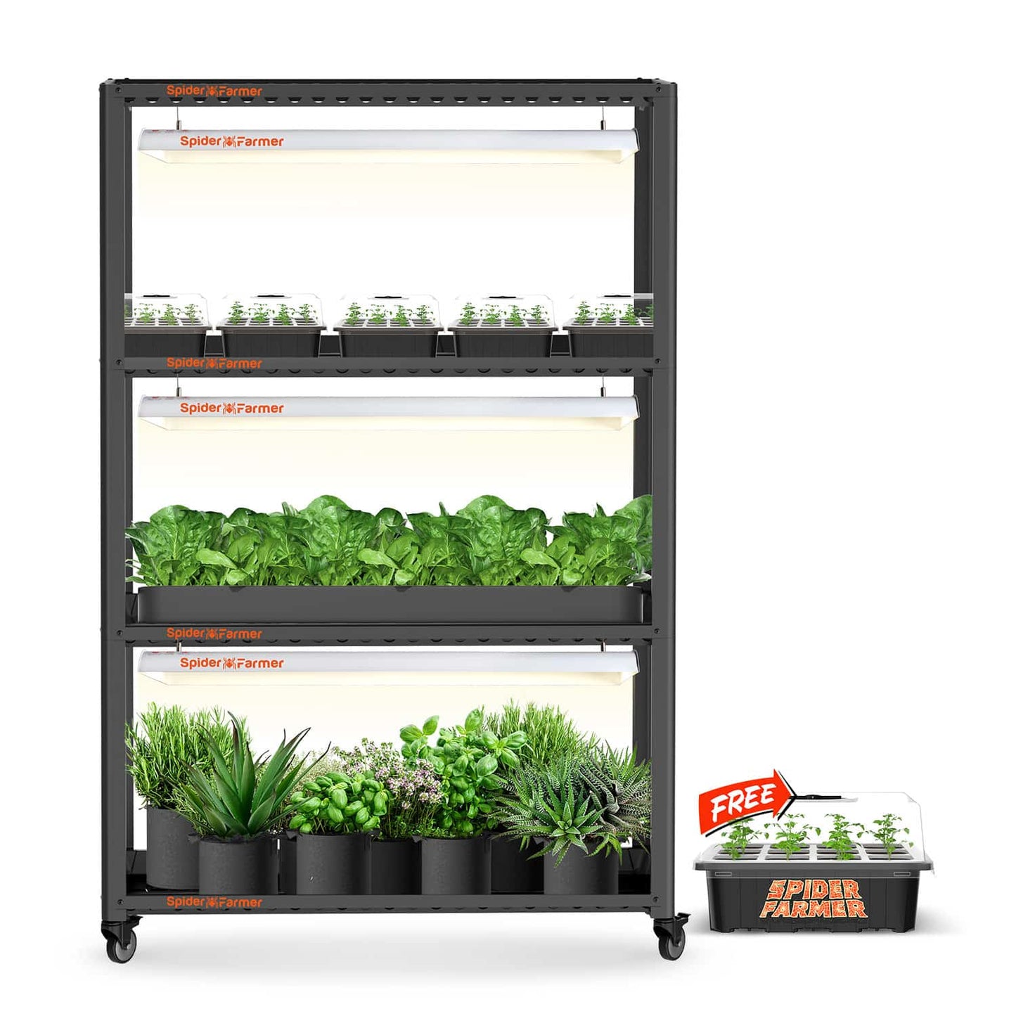 Spider Farmer SF600 Grow Cabinet Zimmerpflanzenregal