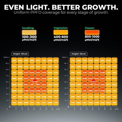 Mars Hydro FC6500 LED grow light bar voor indoor kweek | Mars Hydro FC6500 LED grow light bar for indoor growing | Mars Hydro FC6500 LED Grow Light Bar für Indoor-Anbau