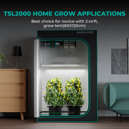 TSL2000 full spectrum voor groenten en kruiden | Vegetable grow | Gemüsepflanzen LED-Licht