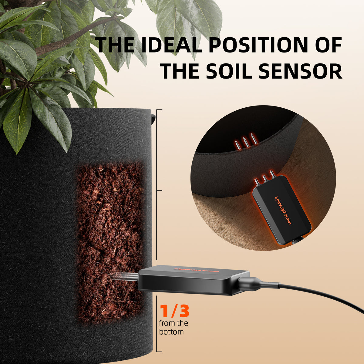 Spider Farmer 3 Soil Sensor Pro sensoren voor meerdere planten | Spider Farmer 3 Soil Sensor Pro sensors for multiple plants | Spider Farmer 3 Soil Sensor Pro Sensoren für mehrere Pflanzen