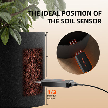 Spider Farmer 3 Soil Sensor Pro sensoren voor meerdere planten | Spider Farmer 3 Soil Sensor Pro sensors for multiple plants | Spider Farmer 3 Soil Sensor Pro Sensoren für mehrere Pflanzen