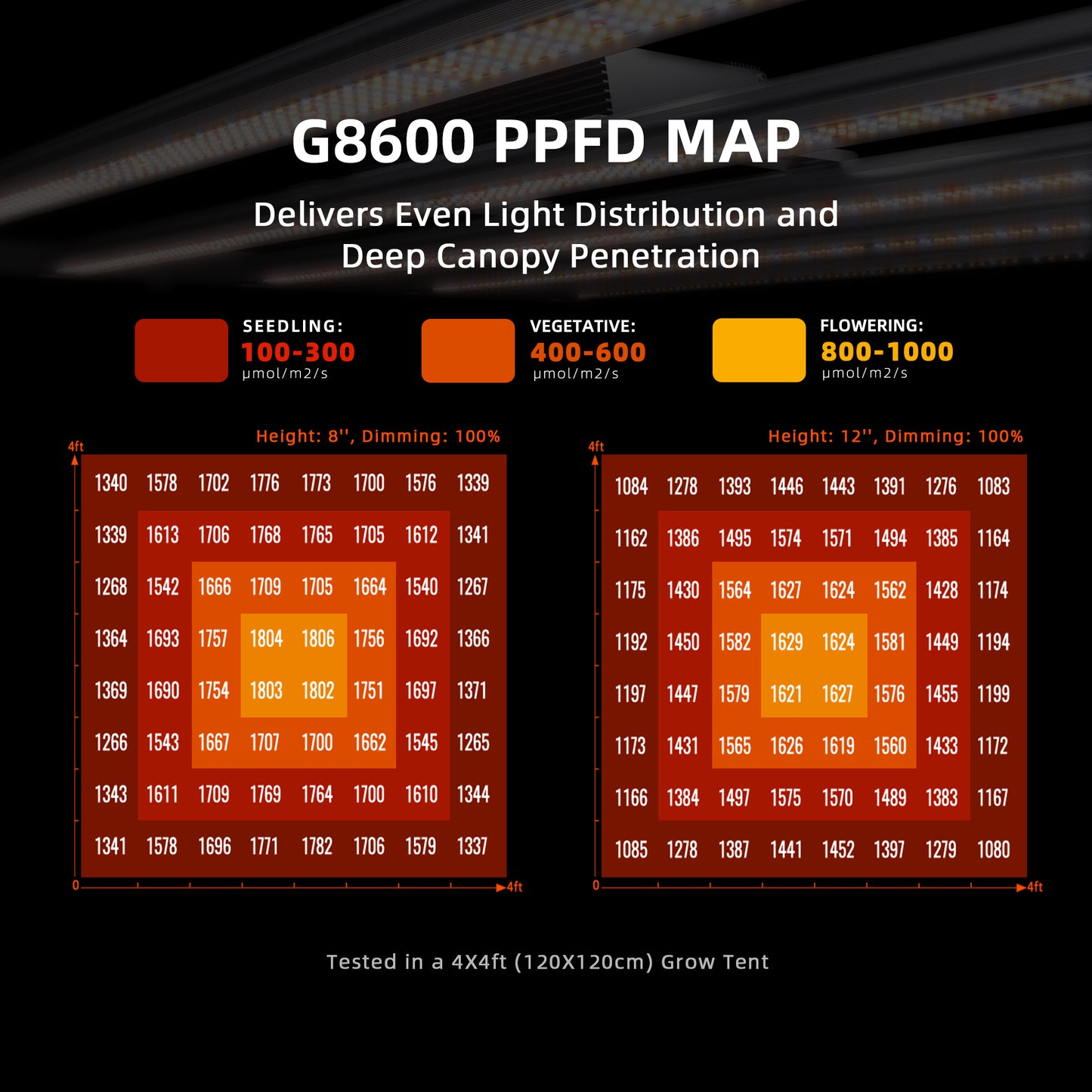 Complete Spider Farmer kweekruimte 300×150×200 | Full grow space setup | Komplettes Indoor Grow Setup