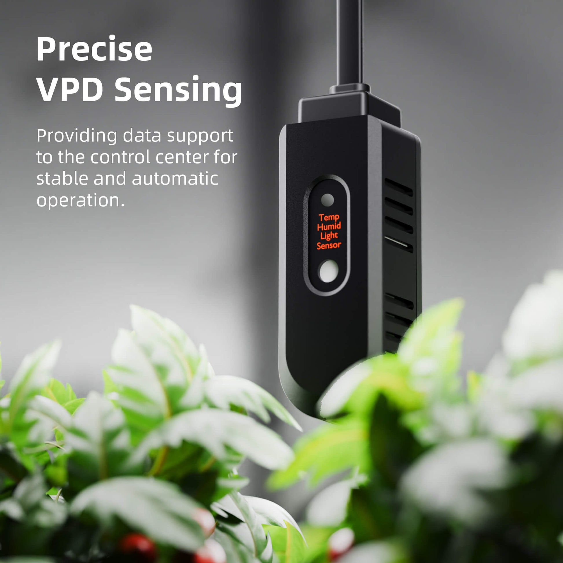 70x70x160 cm indoor kweektent voor beginners – beginner grow tent kit – Einsteiger Growbox Komplettset