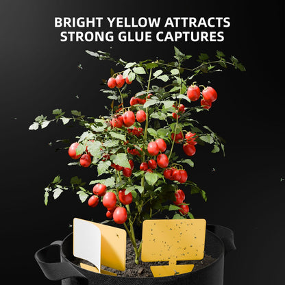 4-layer drying rack kit – kruiden drogen – 4-Schicht Trocknungsnetz