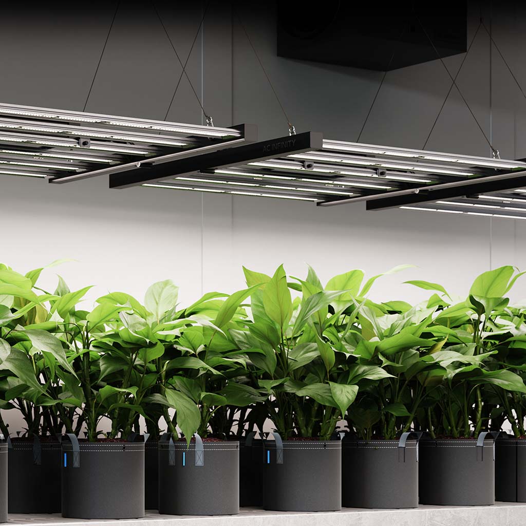 AC Infinity IONFRAME EVO6 – Samsung LM301H EVO Commercial LED Grow Light, 500W, tot 120 x 120 cm