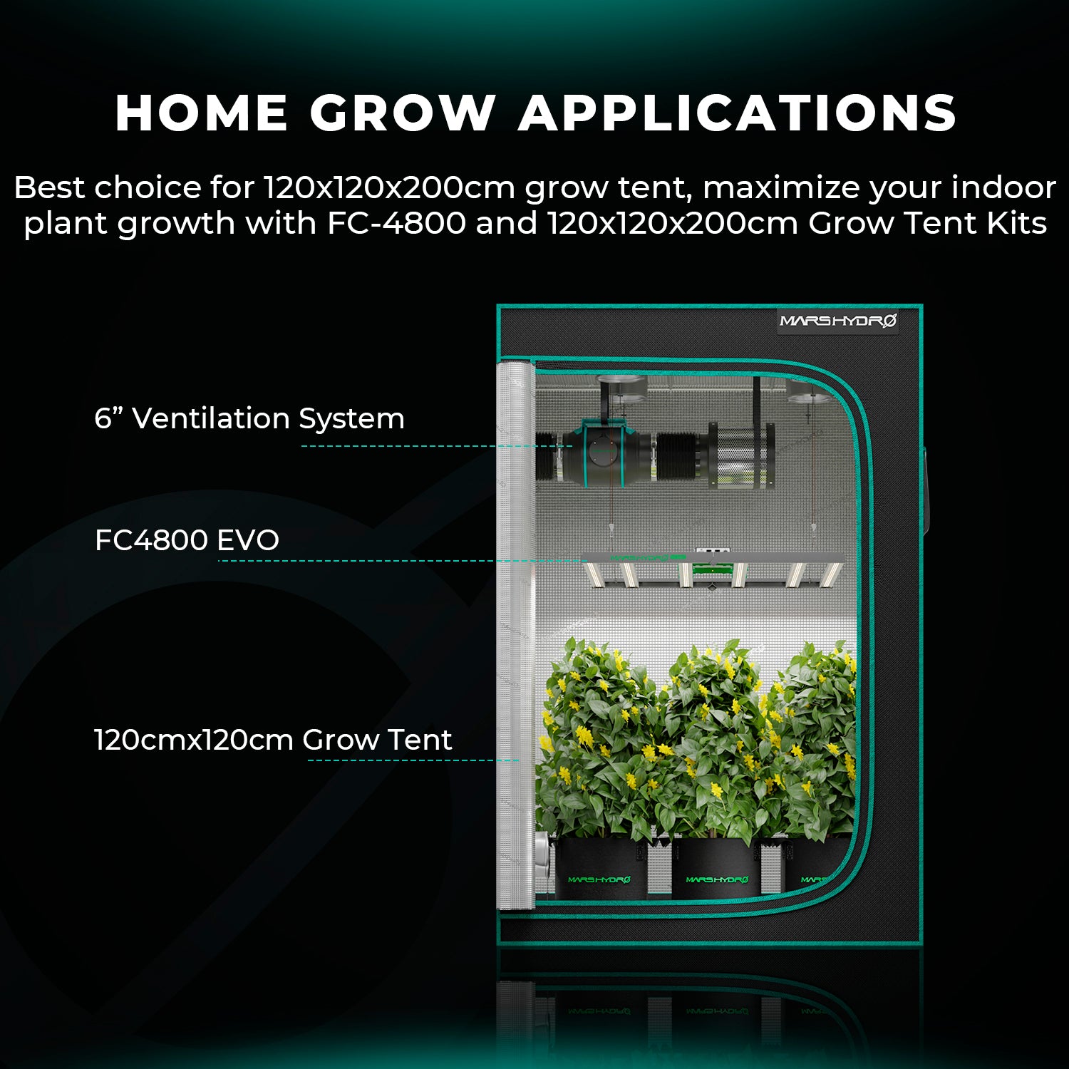 Full spectrum LED groeilamp voor groei en bloei – Full spectrum LED grow light for veg and bloom – Vollspektrum LED Growlampe für Wachstum und Blüte