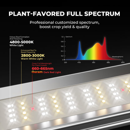 Mars Hydro FC-E6500 Bridgelux LED kweeklamp | Mars Hydro FC-E6500 Bridgelux LED grow light | Mars Hydro FC-E6500 Bridgelux LED Growlampe