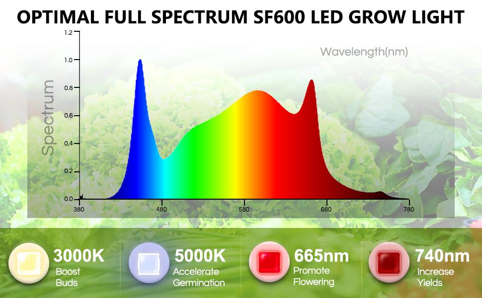 Spider Farmer SF600 74w 2.3µmol/J