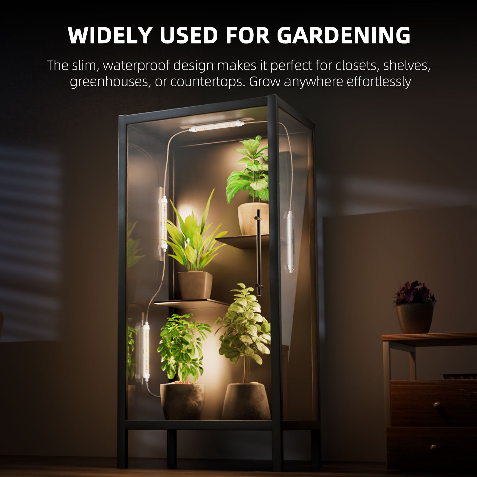 Glow30 LED bars voor betere opbrengst | LED bars to boost yield | LED Bars zur Ertragssteigerung