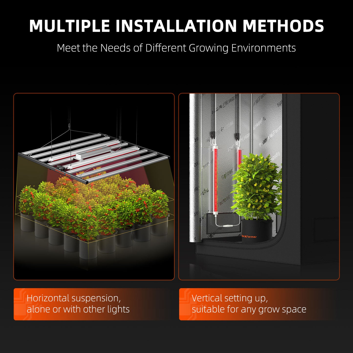 Kweeklamp voor fotosynthese en bloei | Grow light for flowering power | Pflanzenlampe für Blütenwachstum