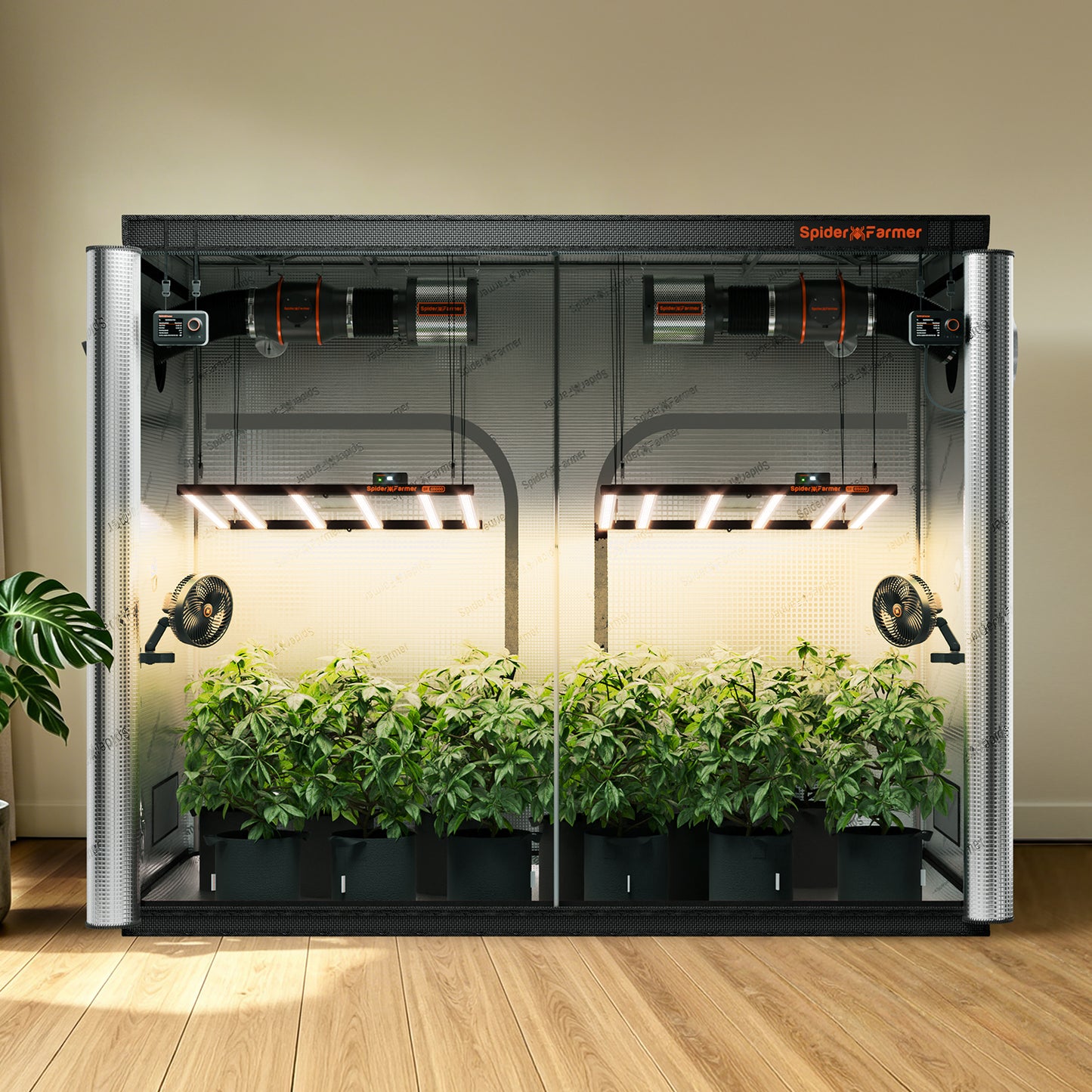 Spider Farmer 8×4 kweektent voor 6 inch inline ventilator | Spider Farmer 8×4 grow tent for 6 inch inline fan | Spider Farmer 8×4 Growzelt für 6 Zoll Rohrventilator