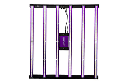 Hoge efficiëntie 3.1 µmol/J kweeklamp | High efficiency 3.1 µmol/J grow light | Hohe Effizienz 3.1 µmol/J Pflanzenlampe