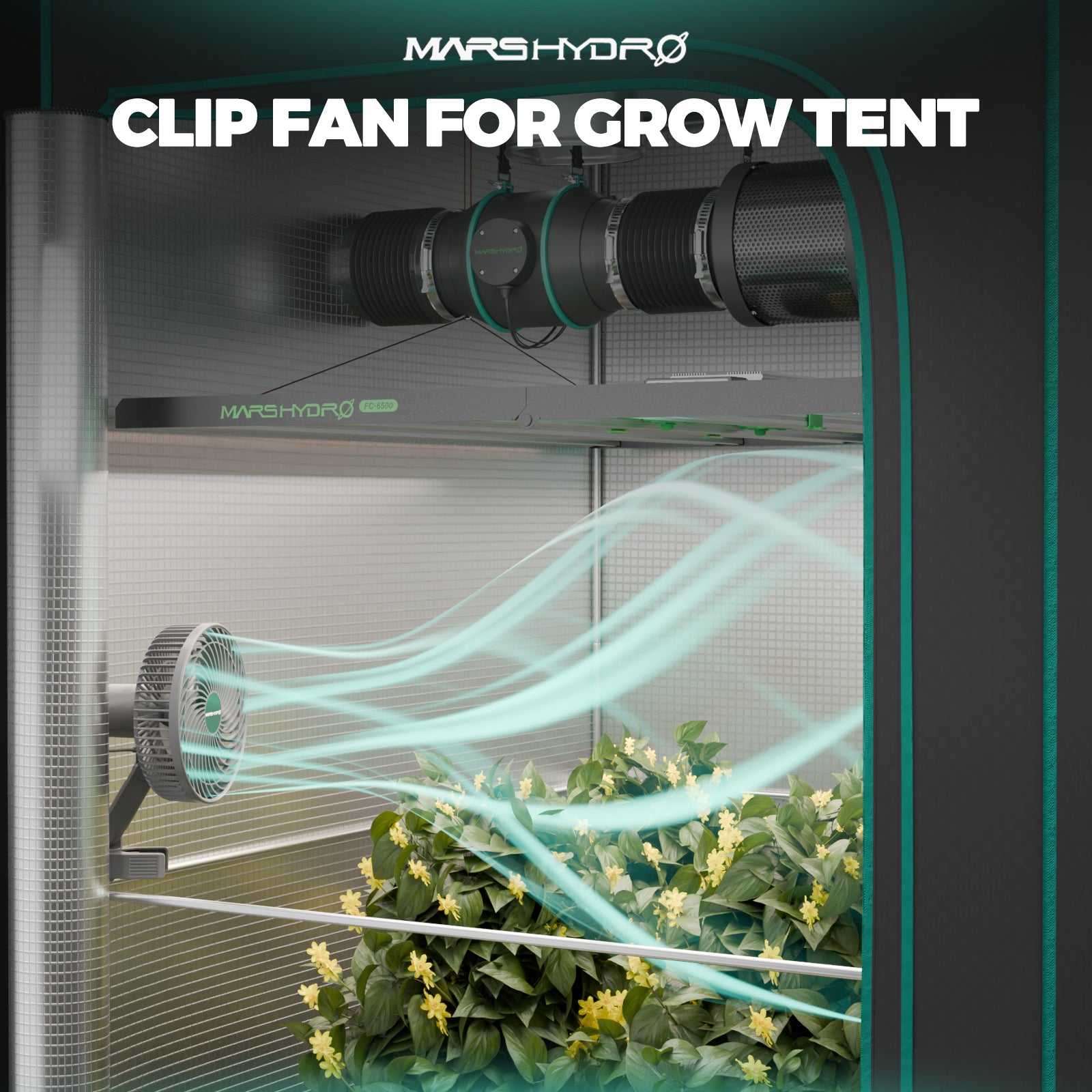 Complete Grow Tent Kit met 4 Kweekzakken | Grow Bags Included | Stofftöpfe im Growset