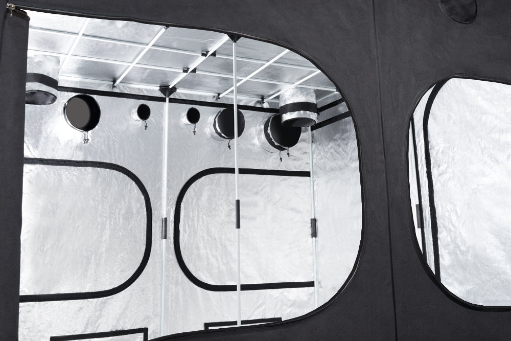 240x240 indoor kweekruimte voor bloeifase installaties / Flowering grow tent / Blüte Growzelt