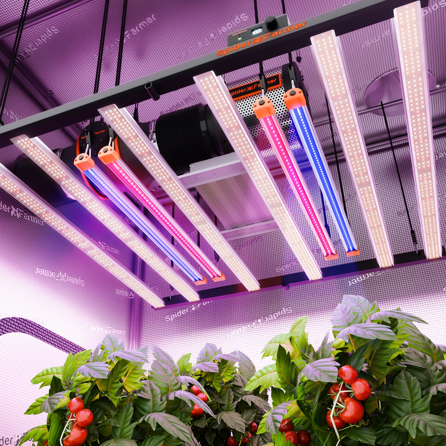 Spider Farmer UV30 & IR16 kweeklamp bars 60cm | UV30 & IR16 grow light bars | UV30 & IR16 LED Zusatzlichtleisten